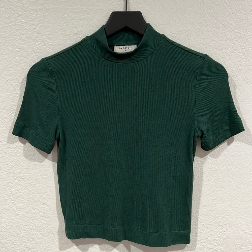 Babaton Ribbed Mock Neck top from Aritzia